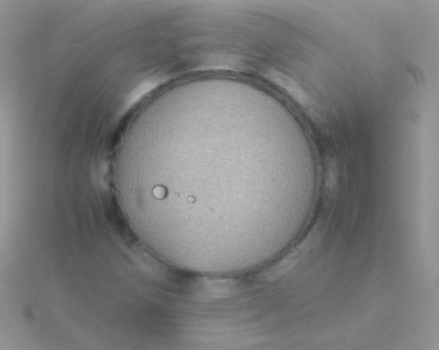 X0000115581258200911241505