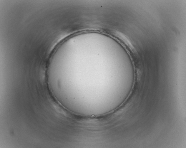 X0000115581260200911241505