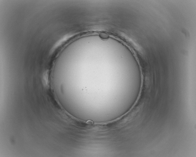 X0000115581262200911241505