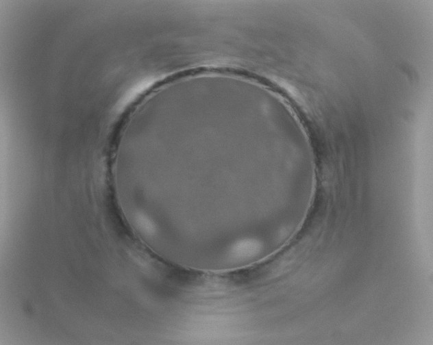 X0000115581263200911241505