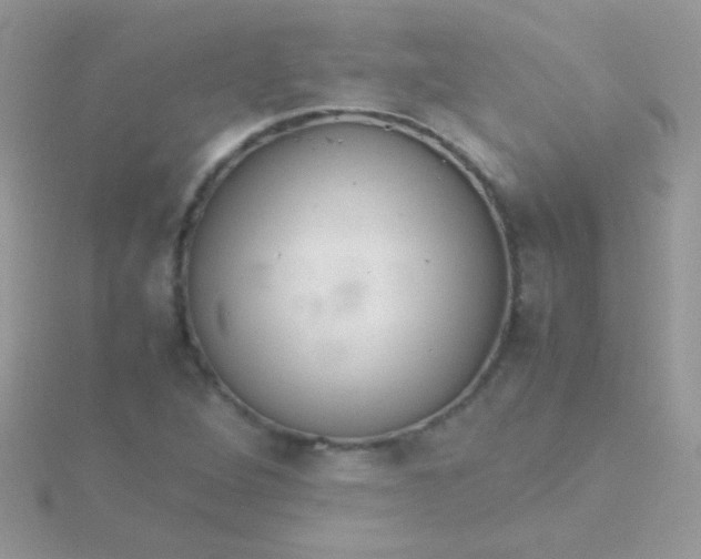 X0000115581264200911241505