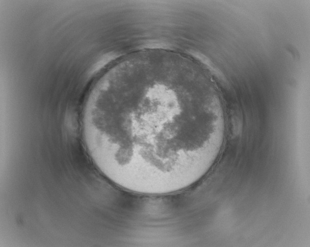 X0000115581266200911241505