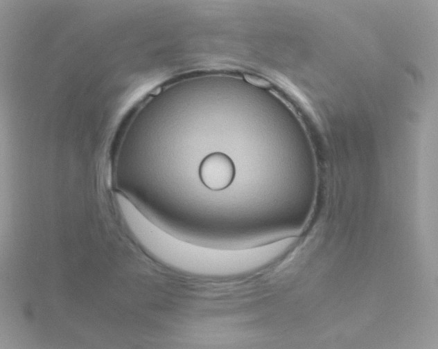 X0000115581269200911241505