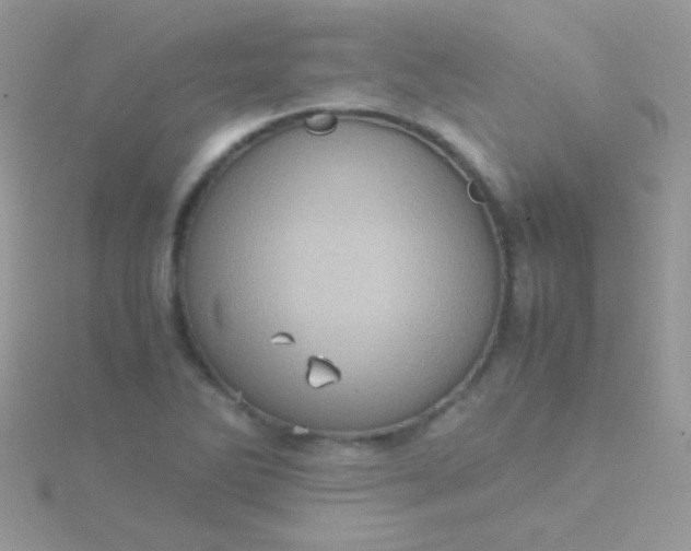 X0000115581270200911241505