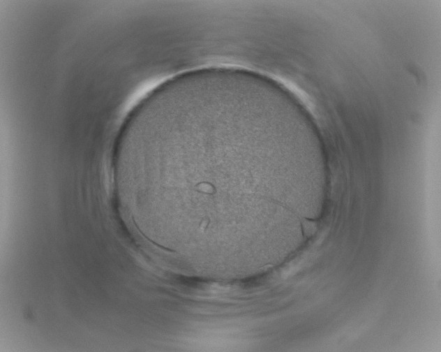 X0000115581271200911241505