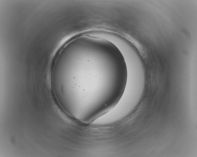 X0000115581272200911241505