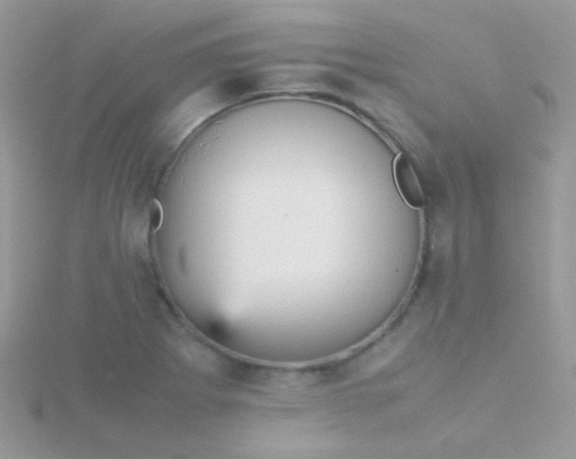 X0000115581273200911241505