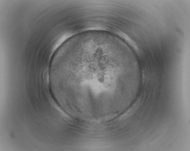 X0000115581274200911241505