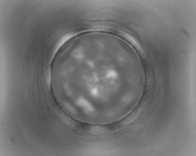 X0000115581275200911241505