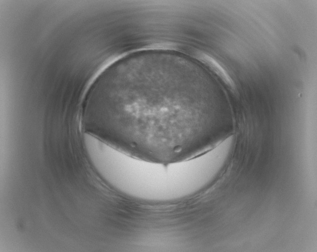 X0000115581276200911241505