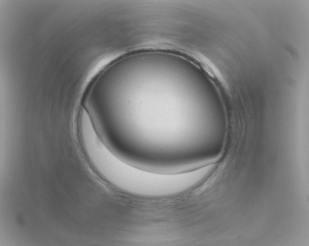 X0000115581277200911241505