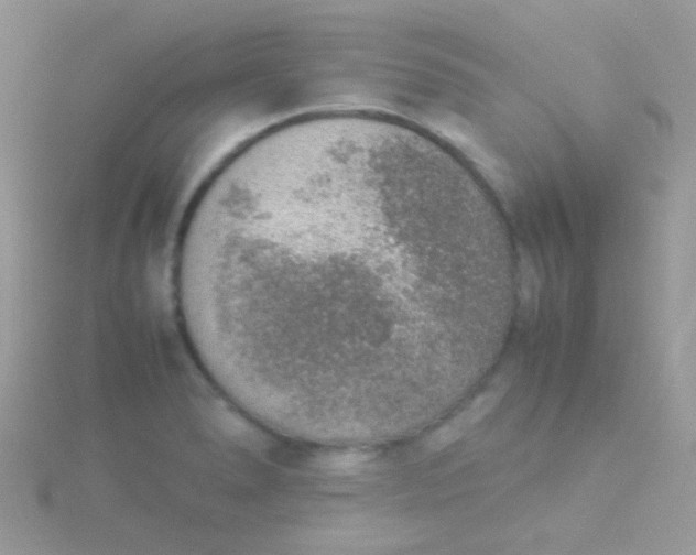 X0000115581278200911241505