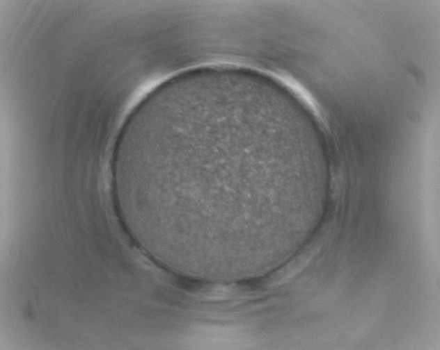 X0000115581279200911241505