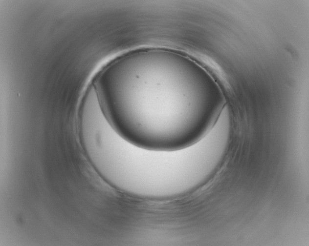 X0000115581280200911241505