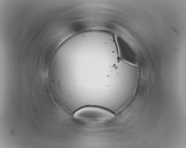 X0000115581281200911241505