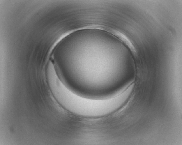 X0000115581284200911241505