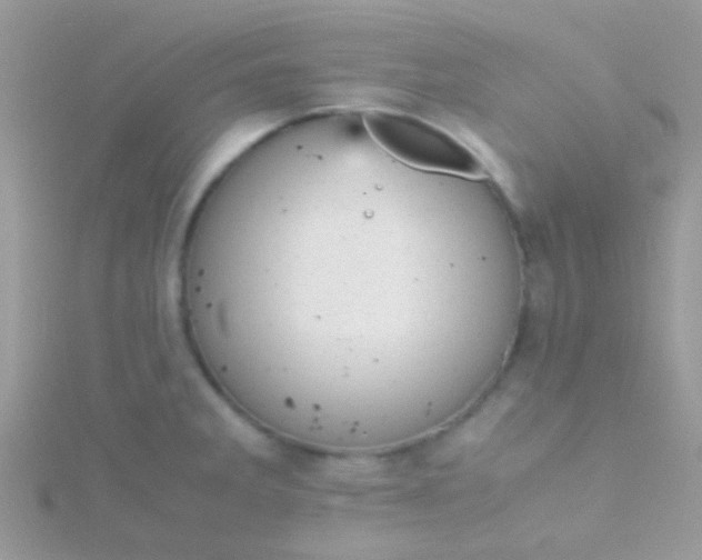 X0000115581285200911241505