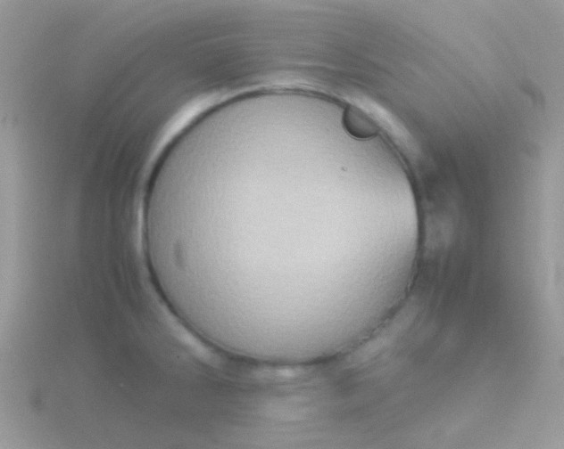 X0000115581286200911241505