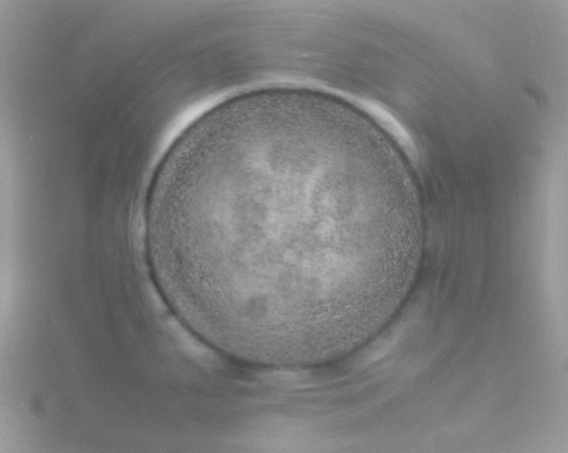 X0000115581287200911241505