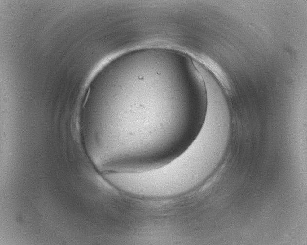 X0000115581288200911241505