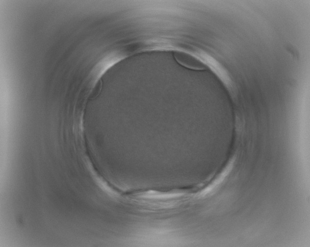 X0000115581289200911241505