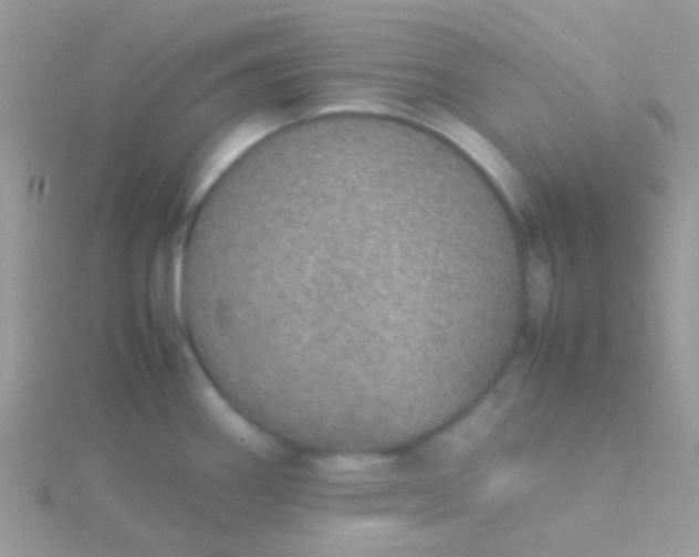 X0000115581290200911241505