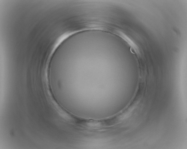 X0000115581291200911241505