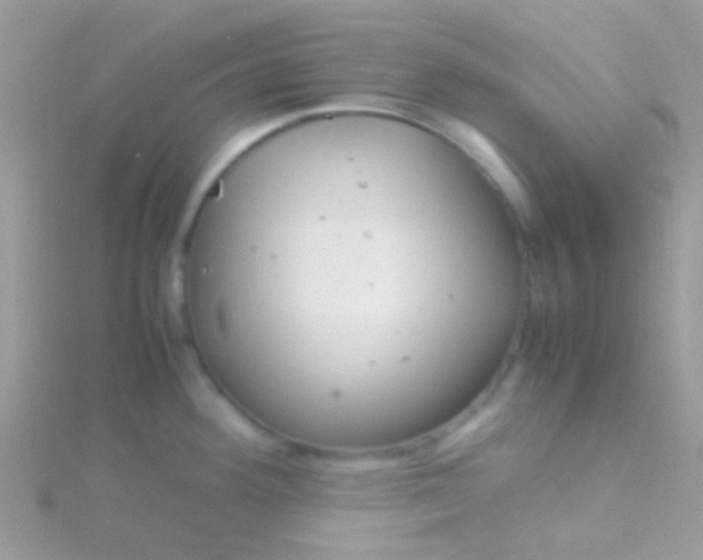 X0000115581292200911241504