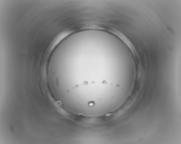 X0000115581293200911241504