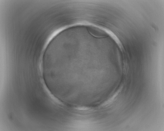 X0000115581295200911241504