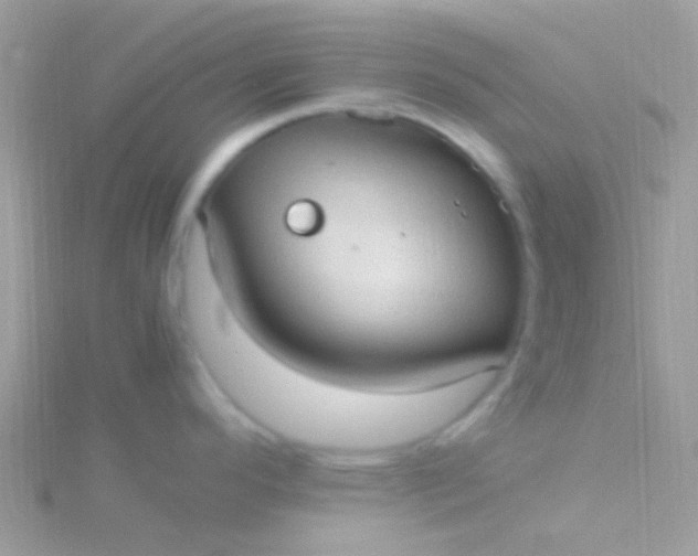 X0000115581296200911241504