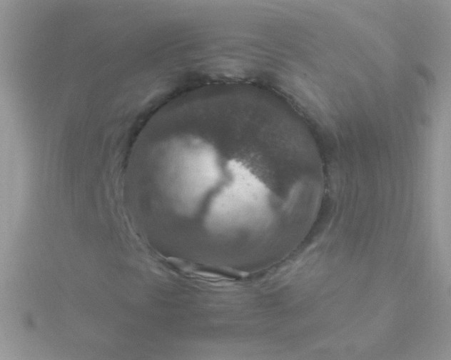 X0000115581297200911241504