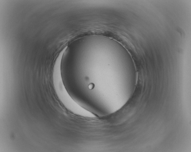 X0000115581298200911241504