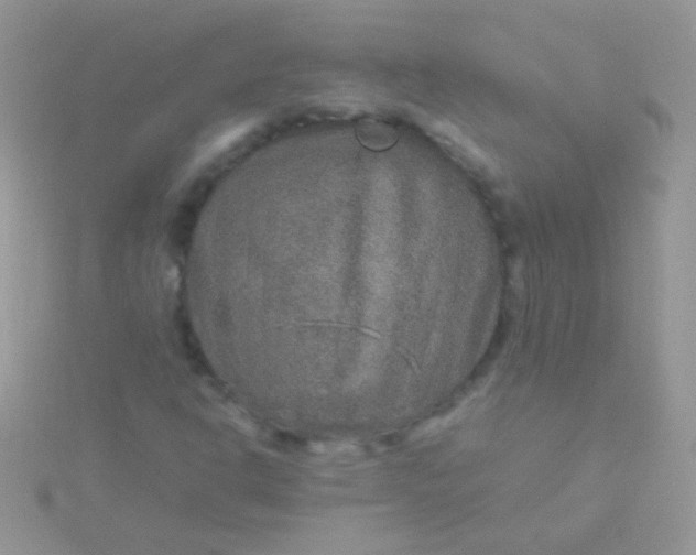 X0000115581302200911241504