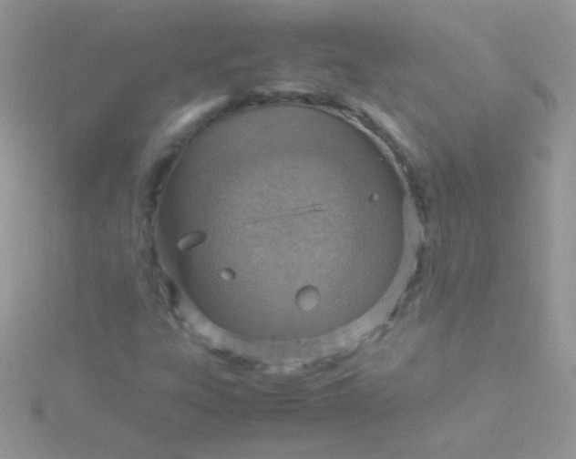 X0000115581303200911241504