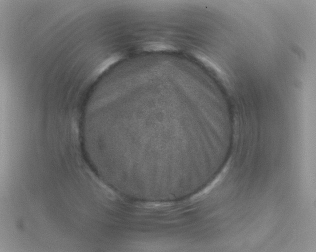 X0000115581305200911241504