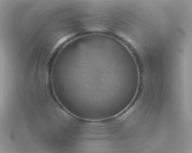 X0000115581306200911241504