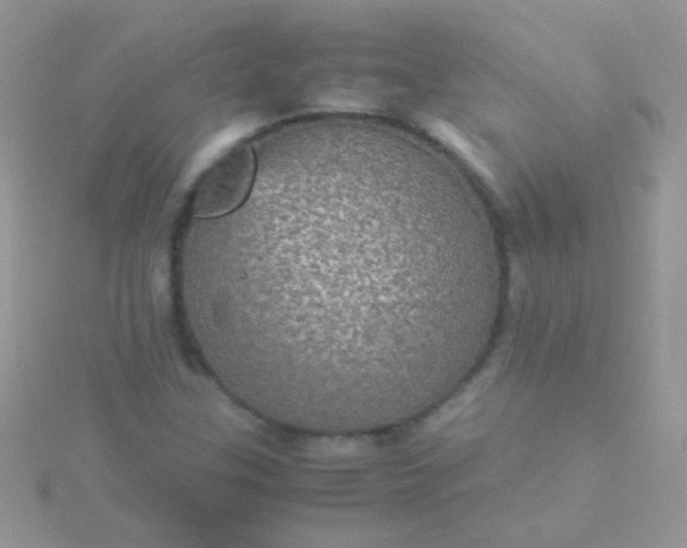 X0000115581307200911241504