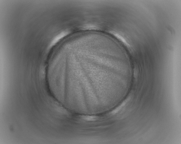 X0000115581309200911241504