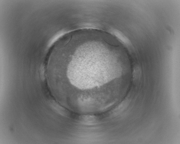 X0000115581310200911241504