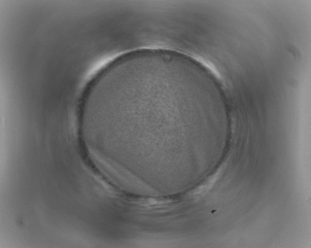 X0000115581311200911241504