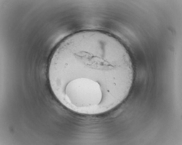 X0000115581314200911241504