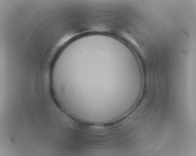 X0000115581315200911241504