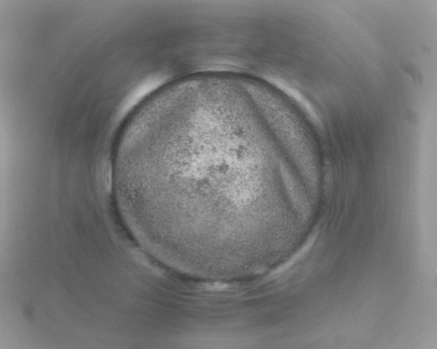 X0000115581317200911241504