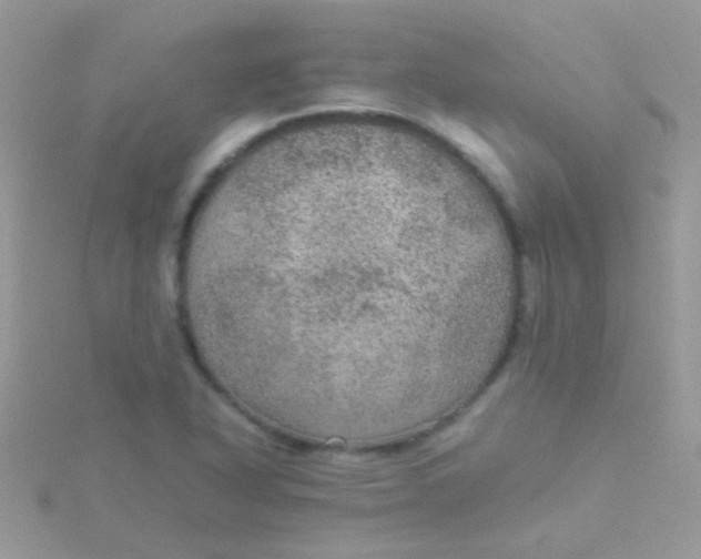 X0000115581318200911241504