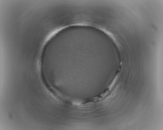 X0000115581319200911241504