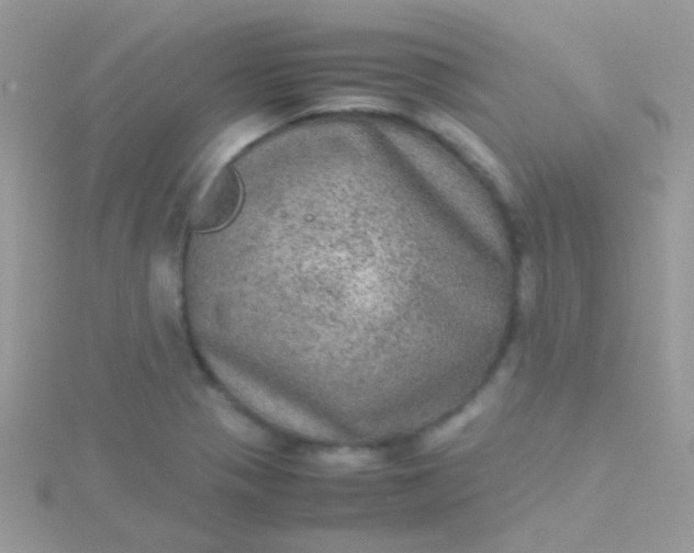 X0000115581321200911241504