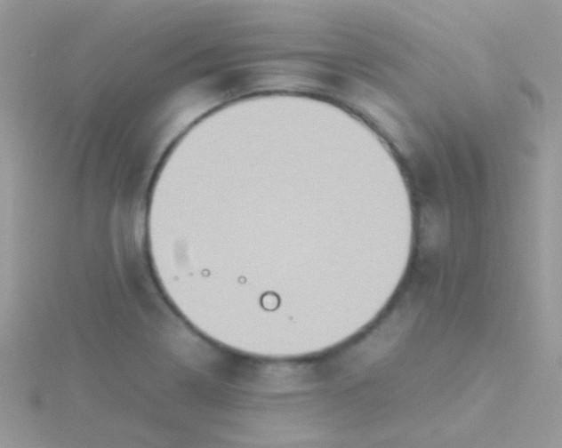 X0000115581322200911241504