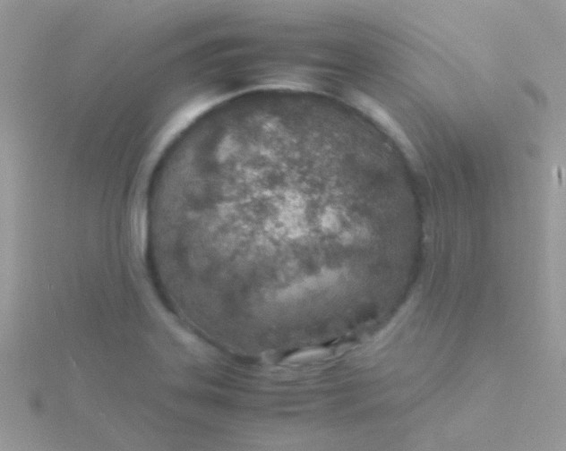 X0000115581323200911241504