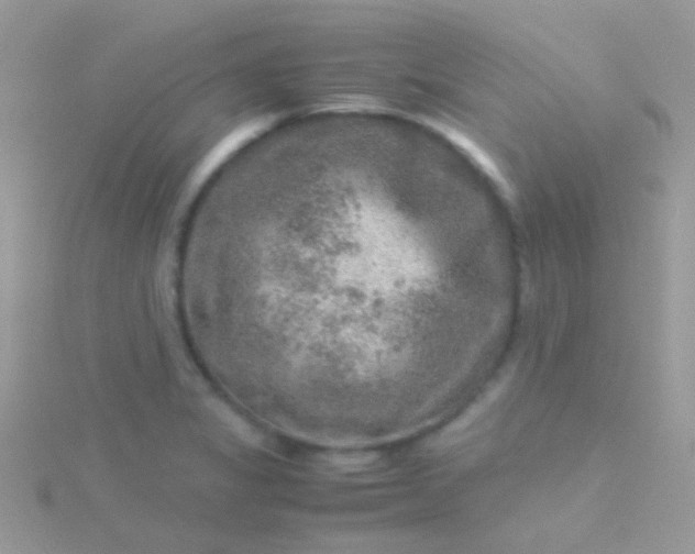 X0000115581325200911241504